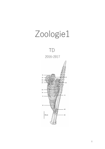 TD1 zoologie - Ent Paris 13