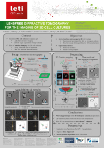 Lensfree diffractive tomography for the imaging of 3D cell cultures