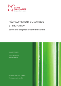 Version PDF - Observatoire européen de la Transition