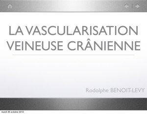 06 Veines craniennes - Rodolphe Benoit-Levy