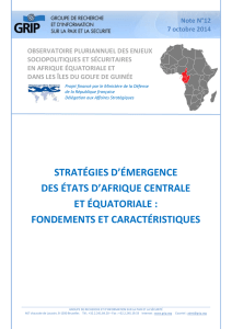 Stratégies d`émergence des États d`Afrique centrale et
