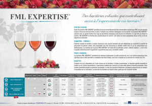 fml expertise - Lallemand Wine