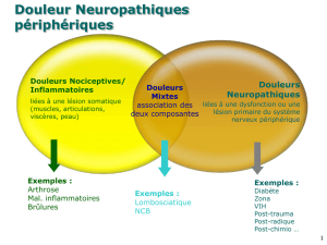 Douleurs Neuropathiques