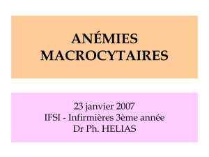 Anémies macrocytaires