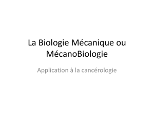 La Biologie Mécanique - Association Love Money