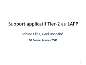 Support applicatif Tier-2 au LAPP