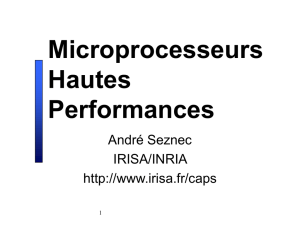 Microprocesseurs hautes performances