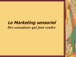 Marketing sensoriel - Eco