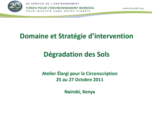 Focal Area and Cross Cutting Strategies – Land Degradation