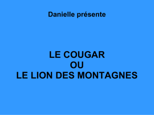 LE COUGAR LION DES MONTAGNES