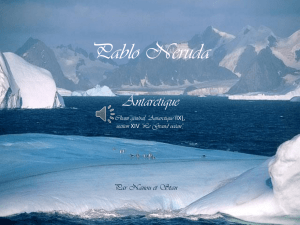 Antarctique, couronne australe, grappe de lampes gelées, cinéraire