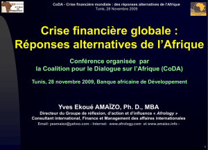 Crise financière mondiale : des réponses alternatives de l`Afrique