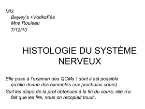 Histologie Système Nerveux