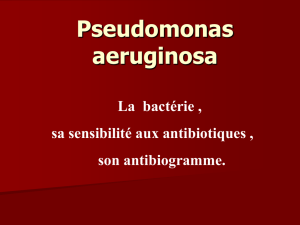 Pseudomonas aeruginosa et examens complémentaires : Dr