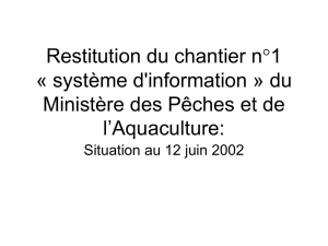 Restitution du chantier n°1 « système d`information » du Ministère