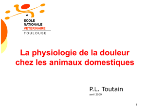 Douleur - Physiologie et Thérapeutique Ecole Véto Toulouse (ENVT)