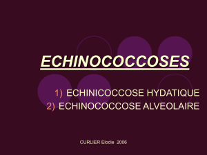 echinococcoses