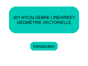 Introduction 201-NYCALGÈBRE LINÉAIREET GÉOMÉTRIE