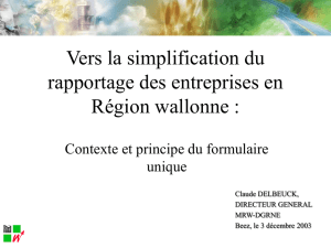 Rapportage des entreprises en Région wallonne