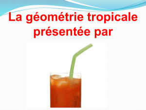 La géometrie tropicale - Mathématiques au lycée français Saint