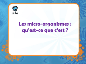 Introduction aux Microbes, PowerPoint - e-Bug