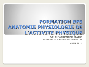 formation bf5 anatomie physiologie de l activite physique