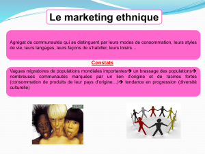Le marketing ethnique Constats