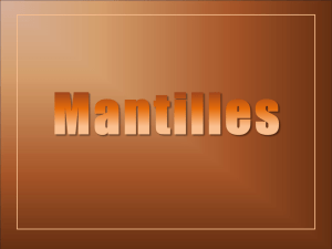 Mantilles - PPS de André
