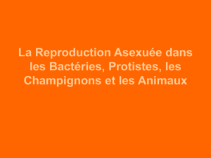 La Reproduction Asexuée dans les Bactéries