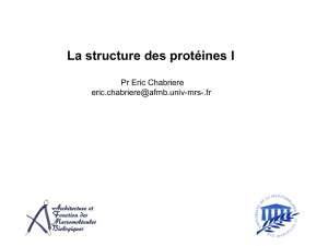 La structure des protéines I