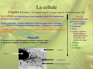 La cellule Chapitre 4 (module 1: bio