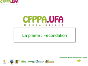 Diapositive 1 - CFPPA.UFA Bougainville