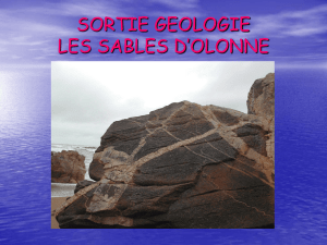 SORTIE GEOLOGIE LES SABLES D`OLONNE