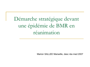 Démarche stratégique devant une épidémie de BMR en réanimation
