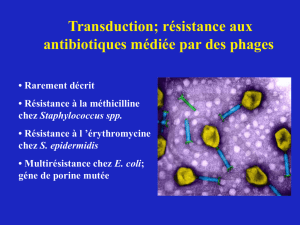 Résistance aux antibiotiques revue générale