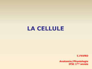 Cellules - tissus, cours n°2 (shémas)