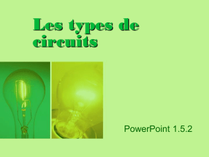 PowerPoint 1.5.2, Les types de circuits