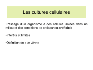 II.1 - Biotechnologies Animales - Culture cellulaires