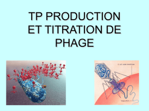 tp phages