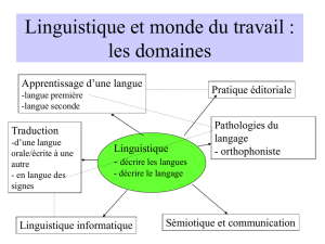 UE LLSDL105domaines_cours2_2006 (PPT, 152 Ko)