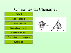 Les ophiolites du Chenaillet - Ombre sur petit