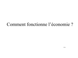 Présentation PowerPoint - Comment fonctionne l`économie ?