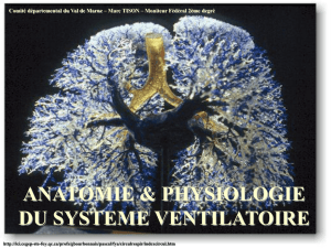 Anatomie et physiologie du système ventilatoire
