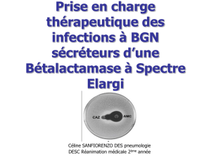 Prise en charge thérapeutique des infections à BGN sécréteurs d