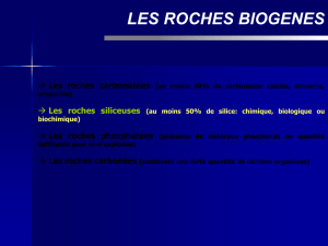 LES ROCHES SILICEUSES