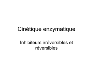 Cinétique enzymatique - Site Maintenance in progress