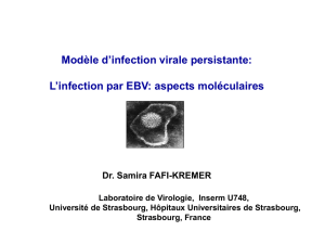 L`infection par EBV