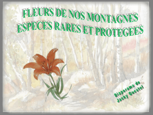 fleurs-protegees.pps