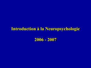Introduction à la Neuropsychologie