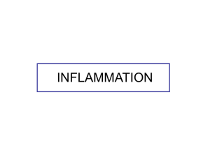 inflammation - carabinsnicois.fr